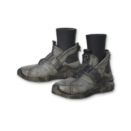 Falcon Shoes