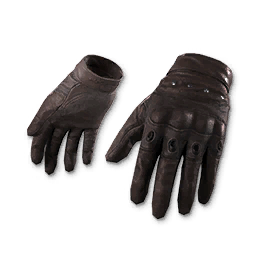 Raid Gloves