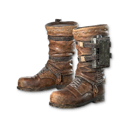 Raid Shoes
