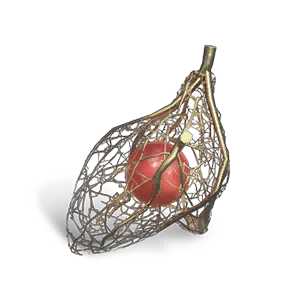 Harveseed