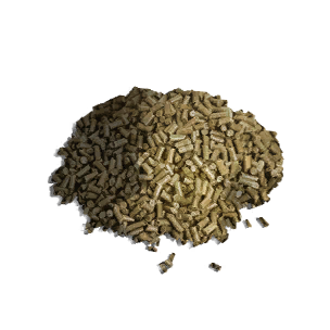 Gunpowder