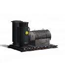 Large Biomass Generator
