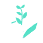 Planter Boxes