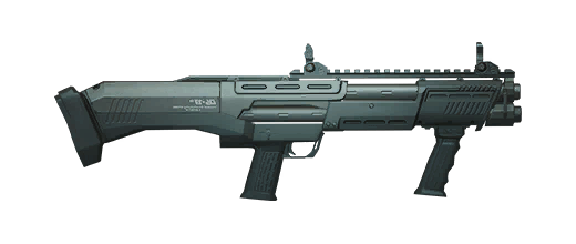DP12